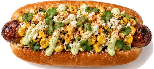 Mexico City dog